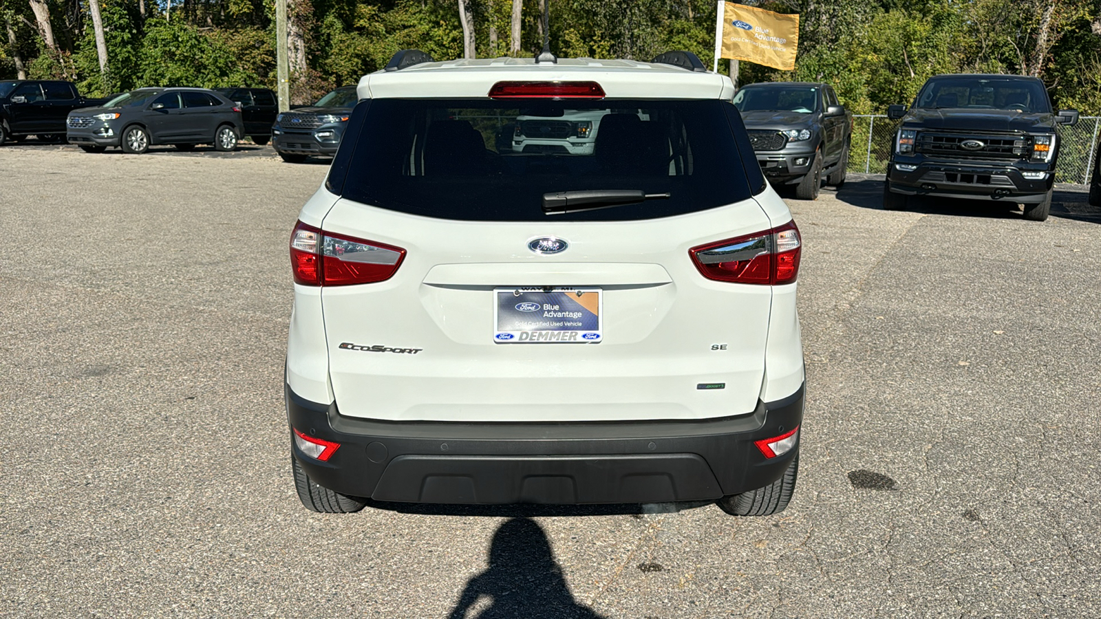 2019 Ford EcoSport SE 28