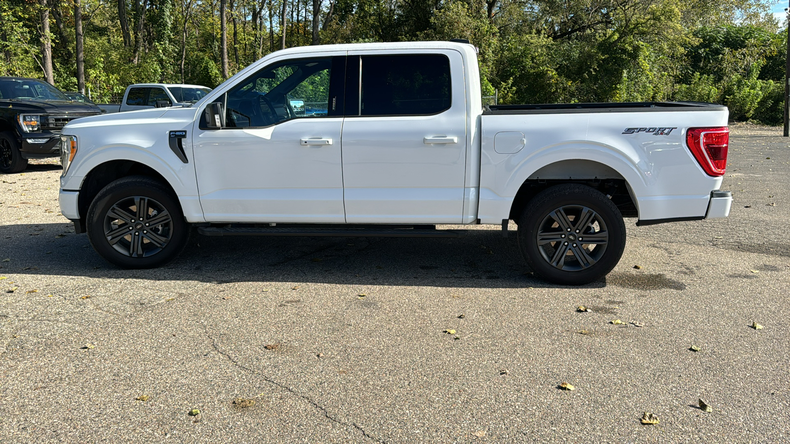 2023 Ford F-150 XLT 6