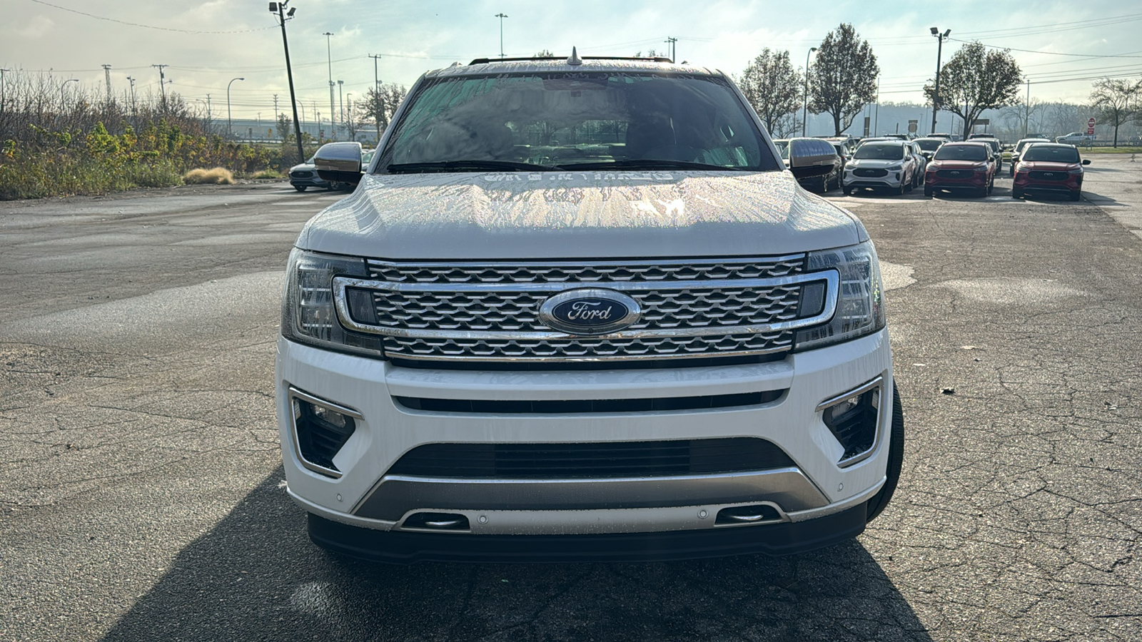 2020 Ford Expedition Platinum 30