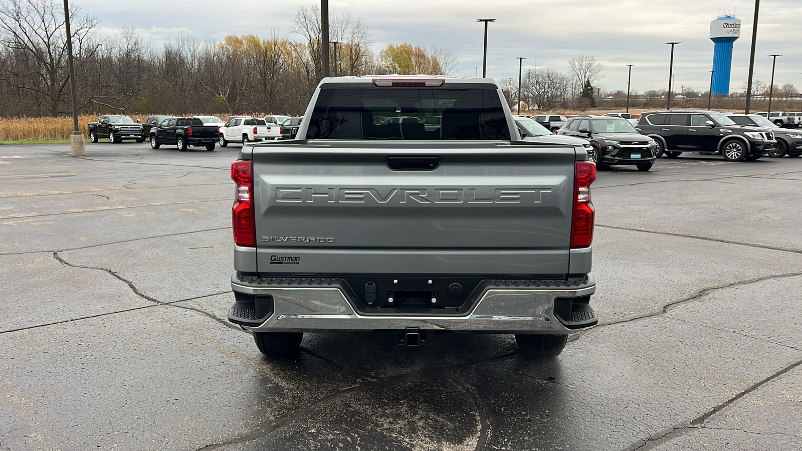 2025 Chevrolet Silverado 1500 Work Truck 4