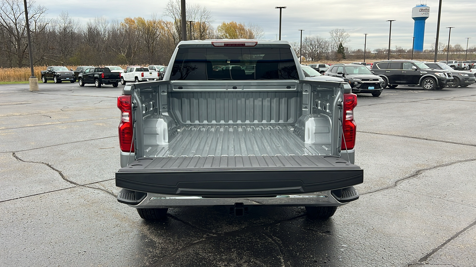 2025 Chevrolet Silverado 1500 Work Truck 25