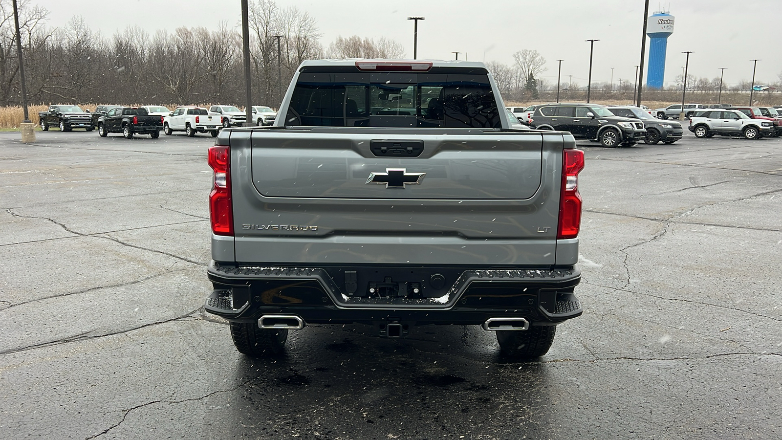 2025 Chevrolet Silverado 1500  4