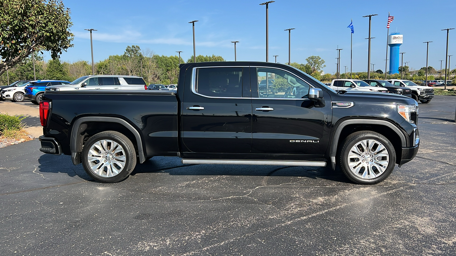 2020 GMC Sierra 1500 Denali 6