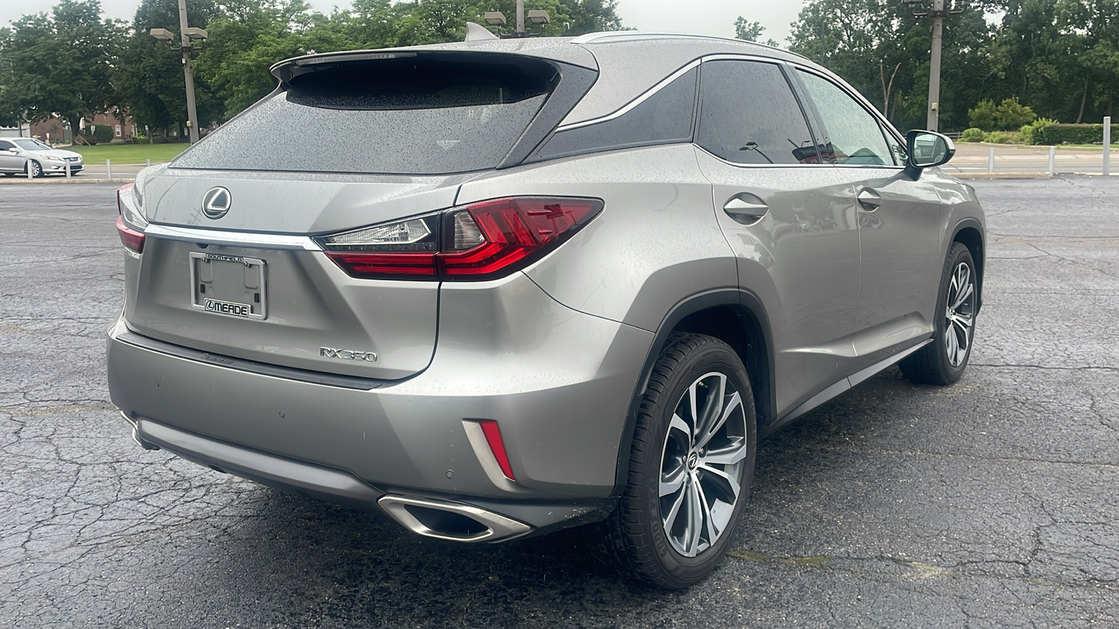 2019 Lexus RX 350 Base 4