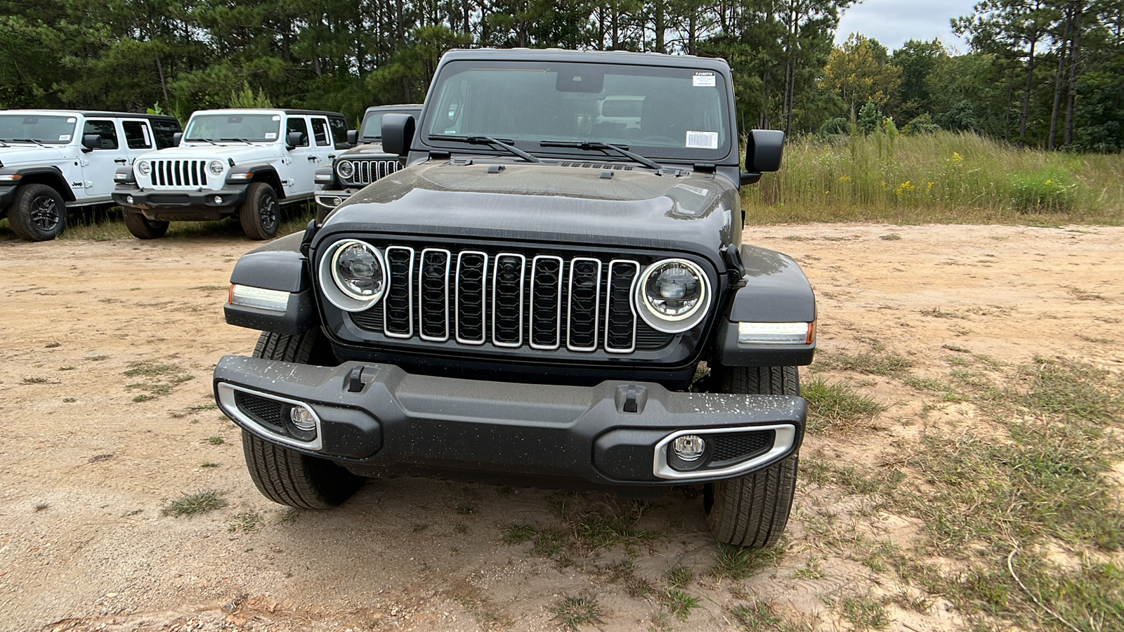 2024 Jeep Wrangler Sahara 2