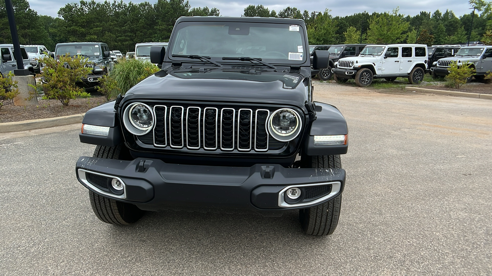 2024 Jeep Wrangler Sahara 2