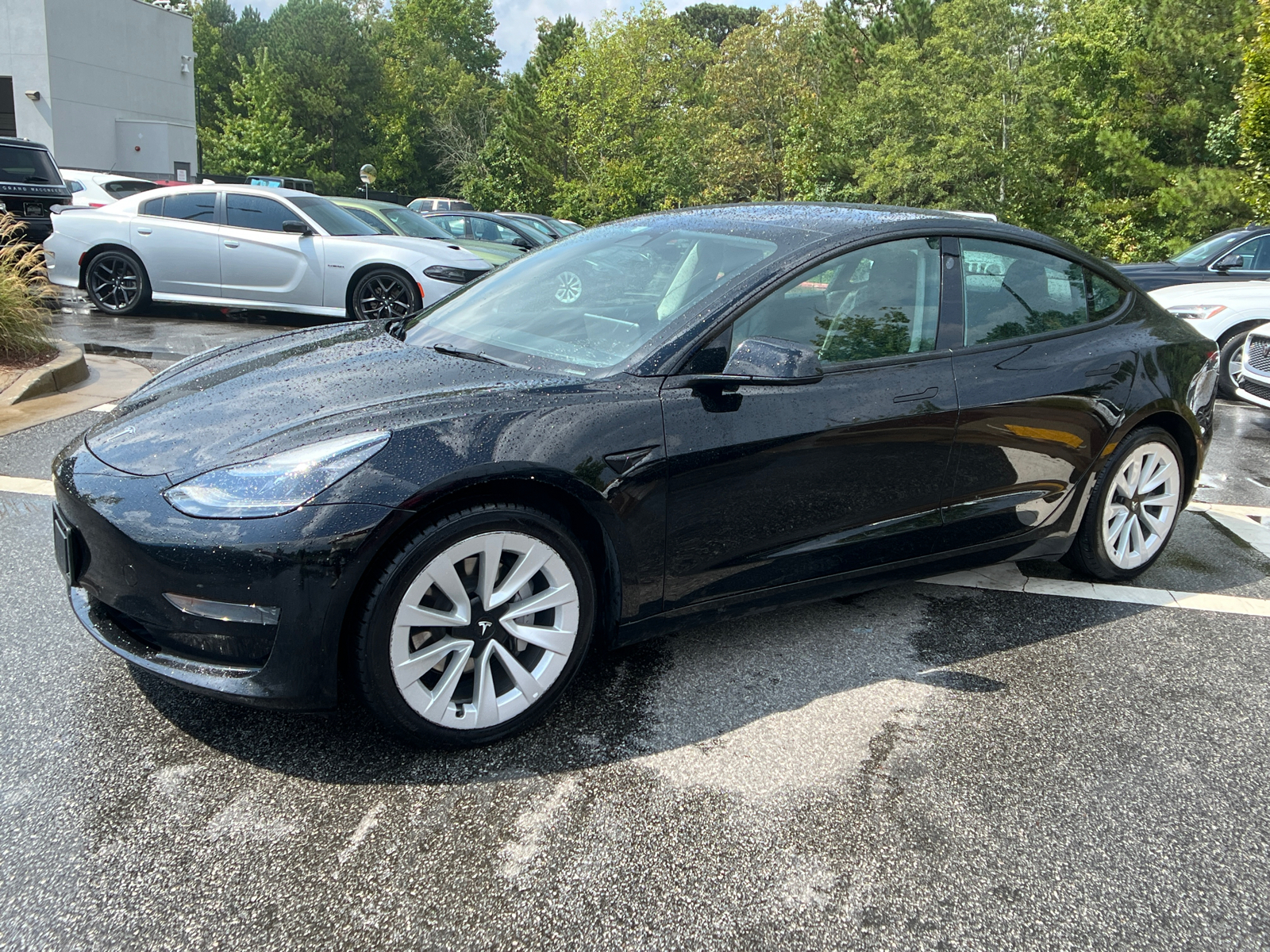 2022 Tesla Model 3  1