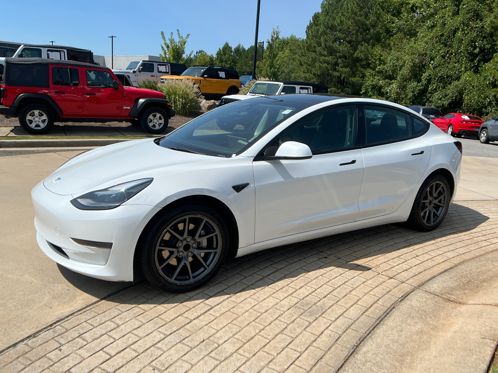 2023 Tesla Model 3  1