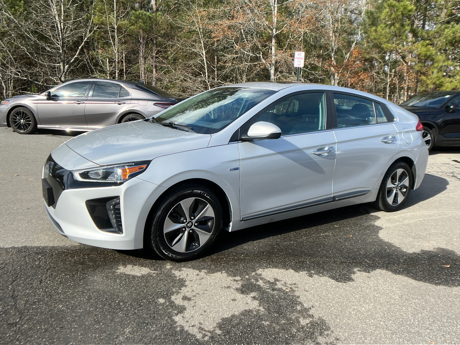 2019 Hyundai Ioniq Electric Limited 1