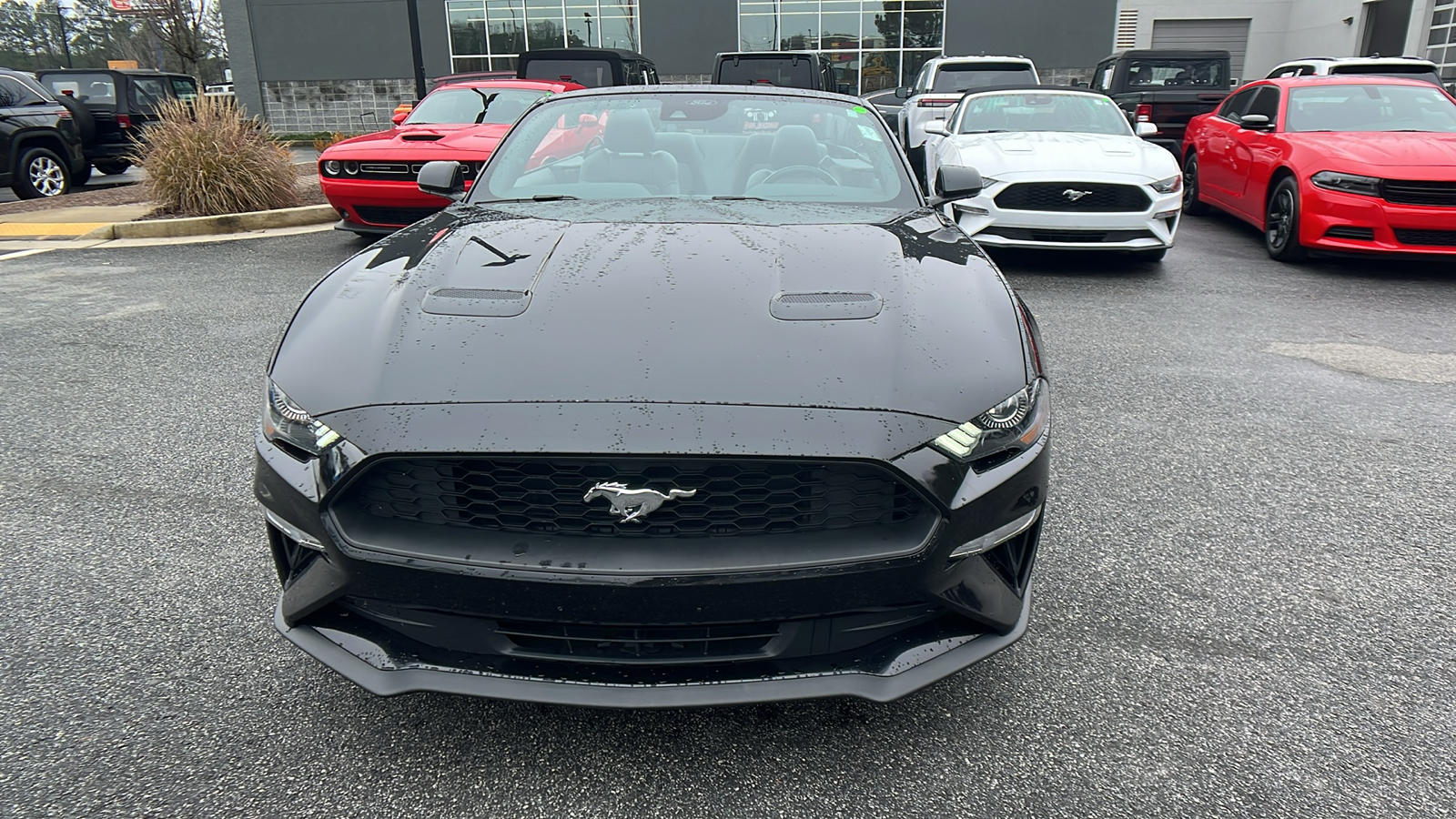 2022 Ford Mustang  2