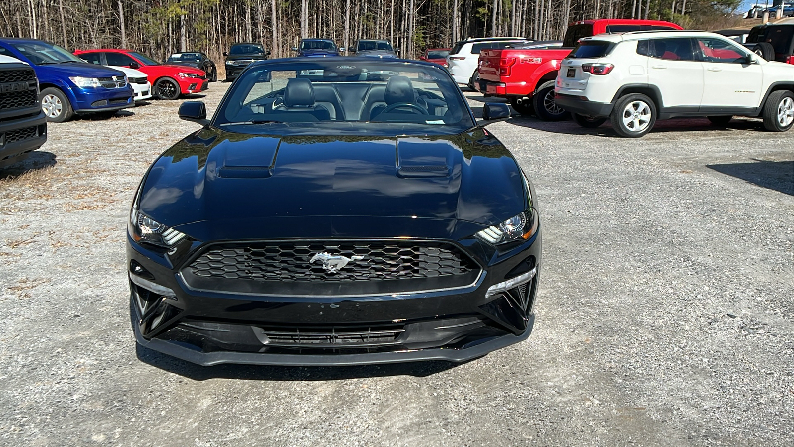 2023 Ford Mustang EcoBoost Premium 2