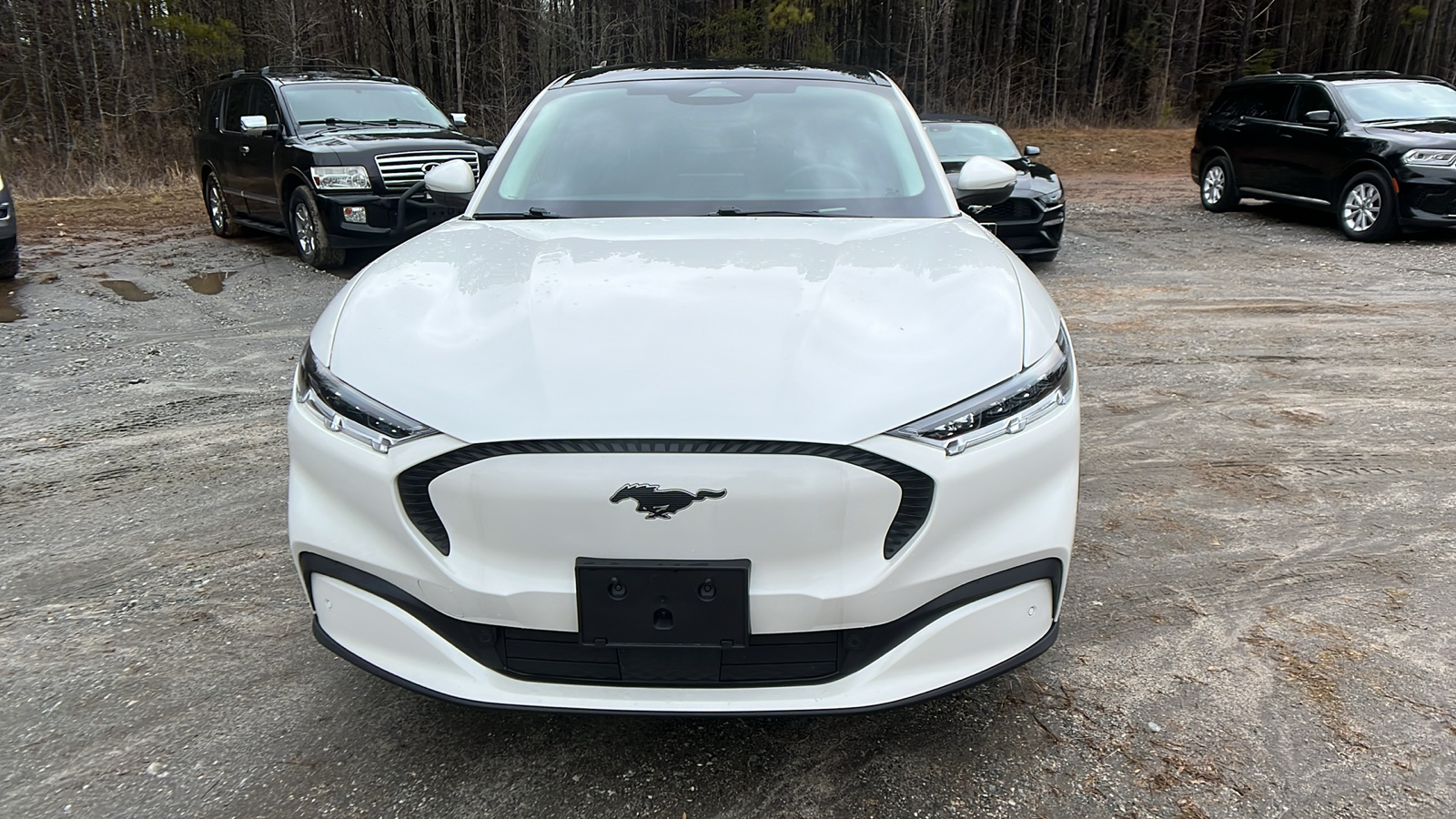 2021 Ford Mustang Mach-E Select 2