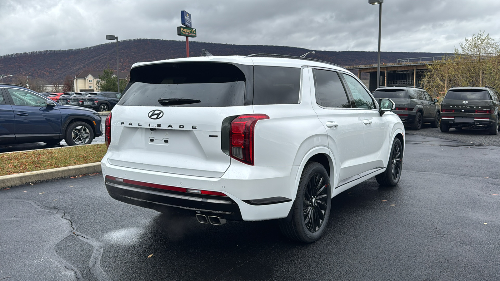 2025 Hyundai Palisade Calligraphy Night Edition 5