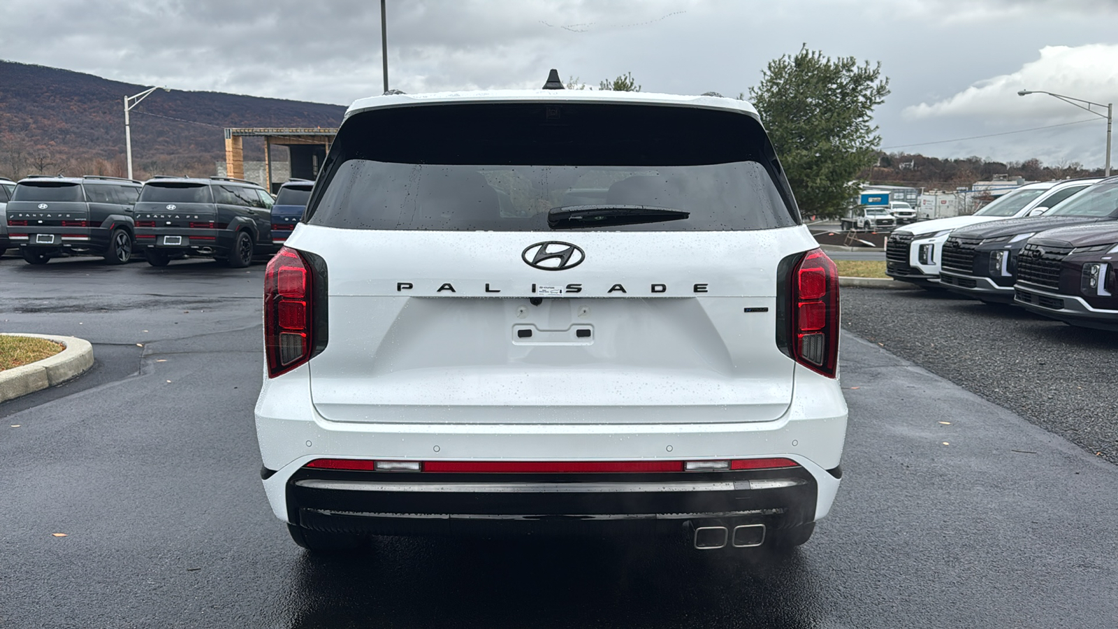 2025 Hyundai Palisade Calligraphy Night Edition 6