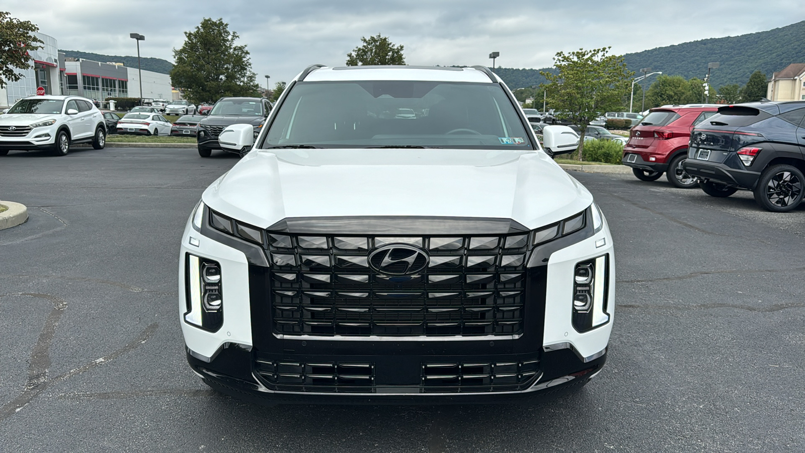 2024 Hyundai Palisade Calligraphy Night Edition 2