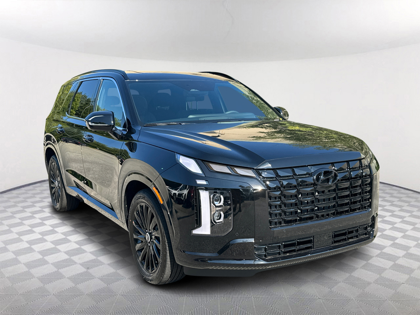 2025 Hyundai Palisade Calligraphy Night Edition 3