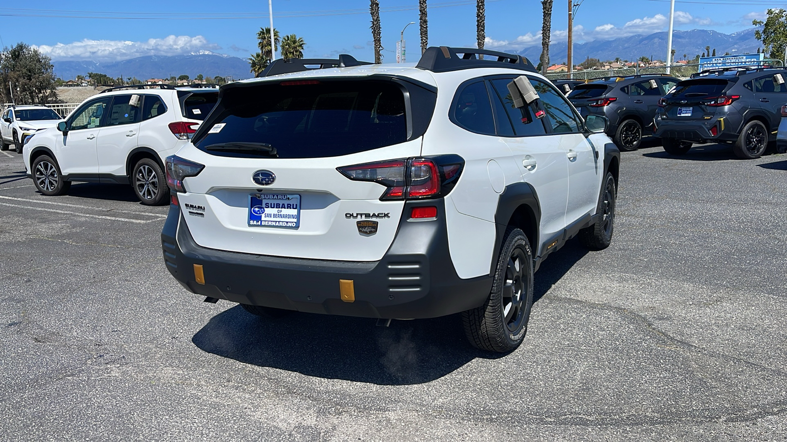 2024 Subaru Outback Wilderness 6