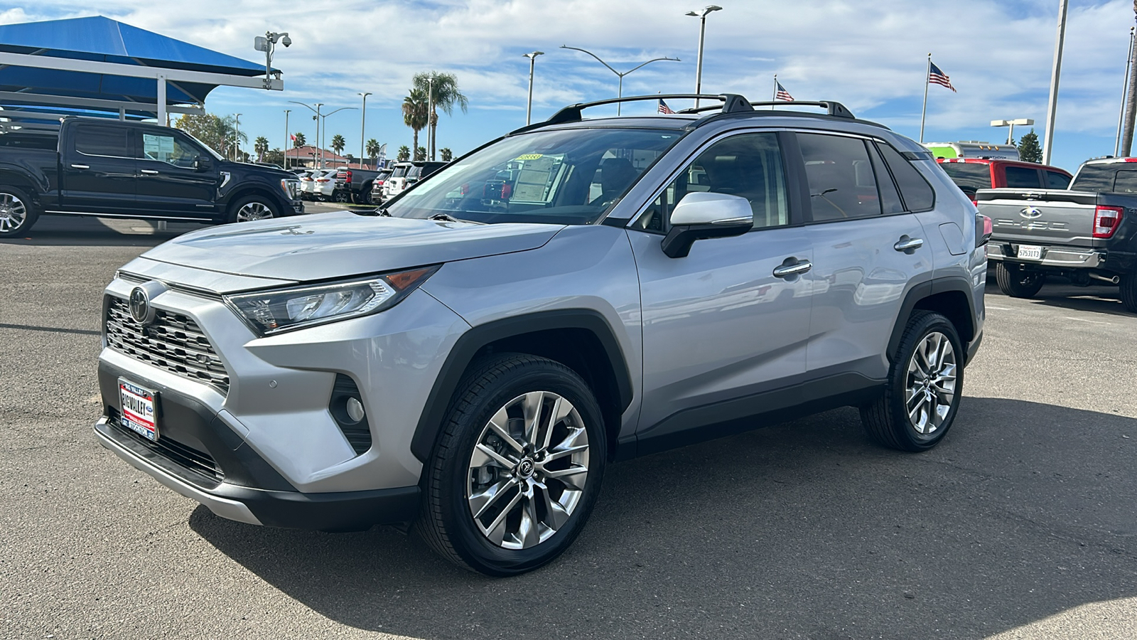 2019 Toyota RAV4 Limited 7