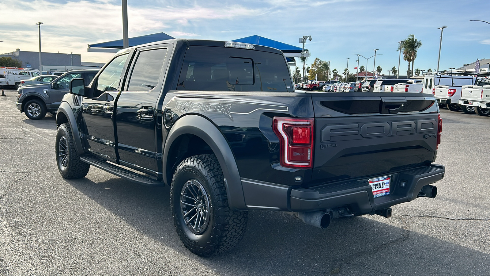 2020 Ford F-150 Raptor 5