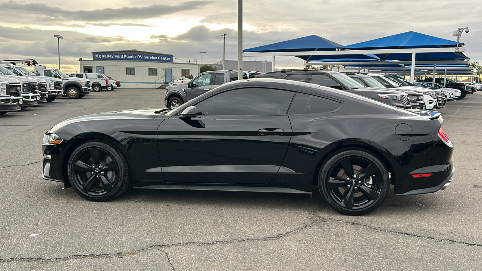 2021 Ford Mustang GT 6