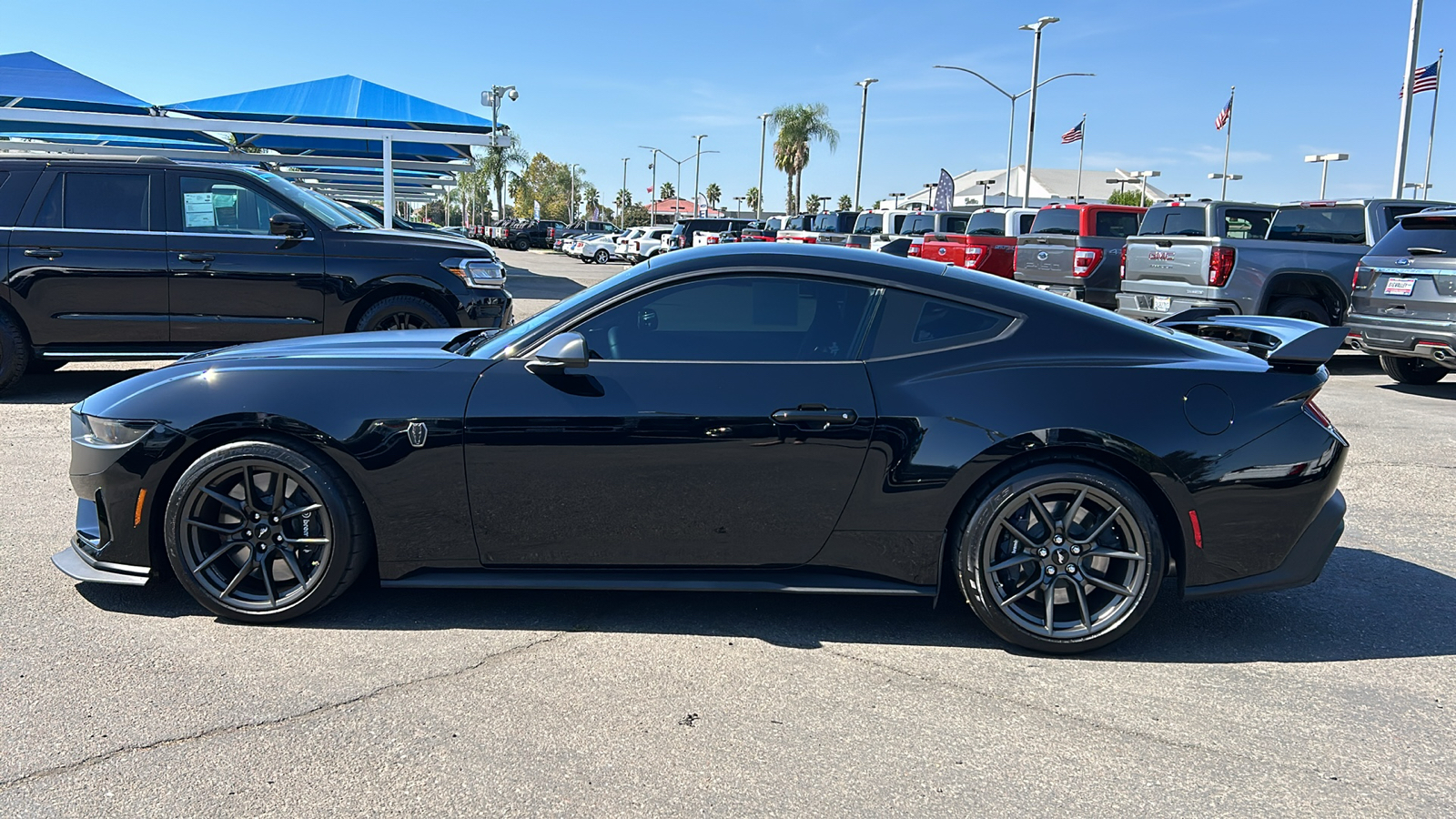 2024 Ford Mustang Dark Horse 6