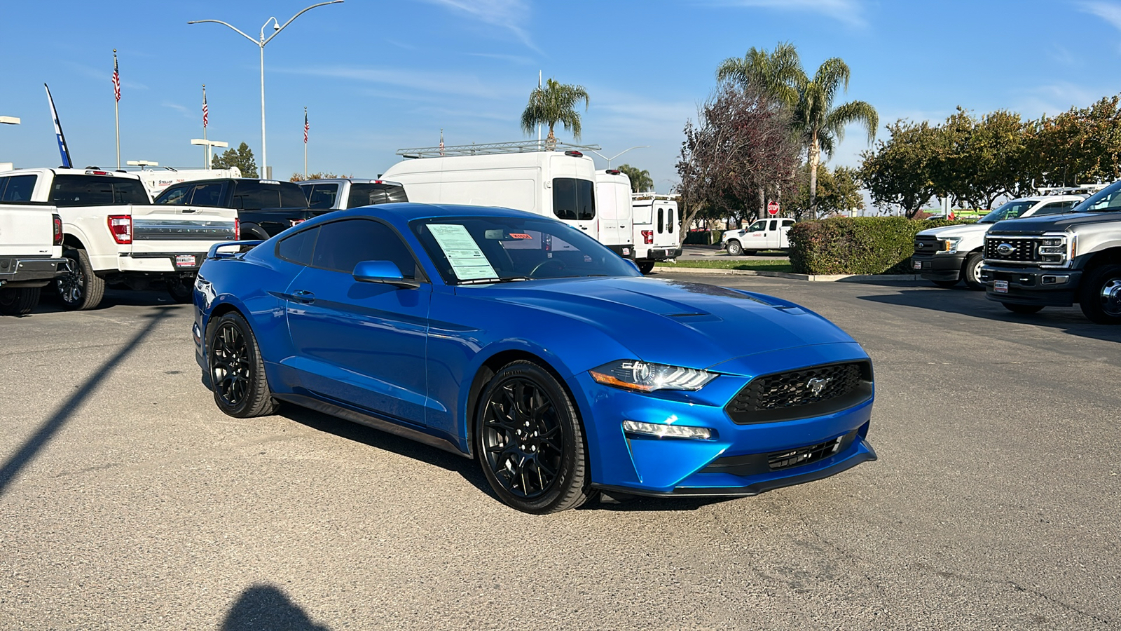 2019 Ford Mustang EcoBoost 1