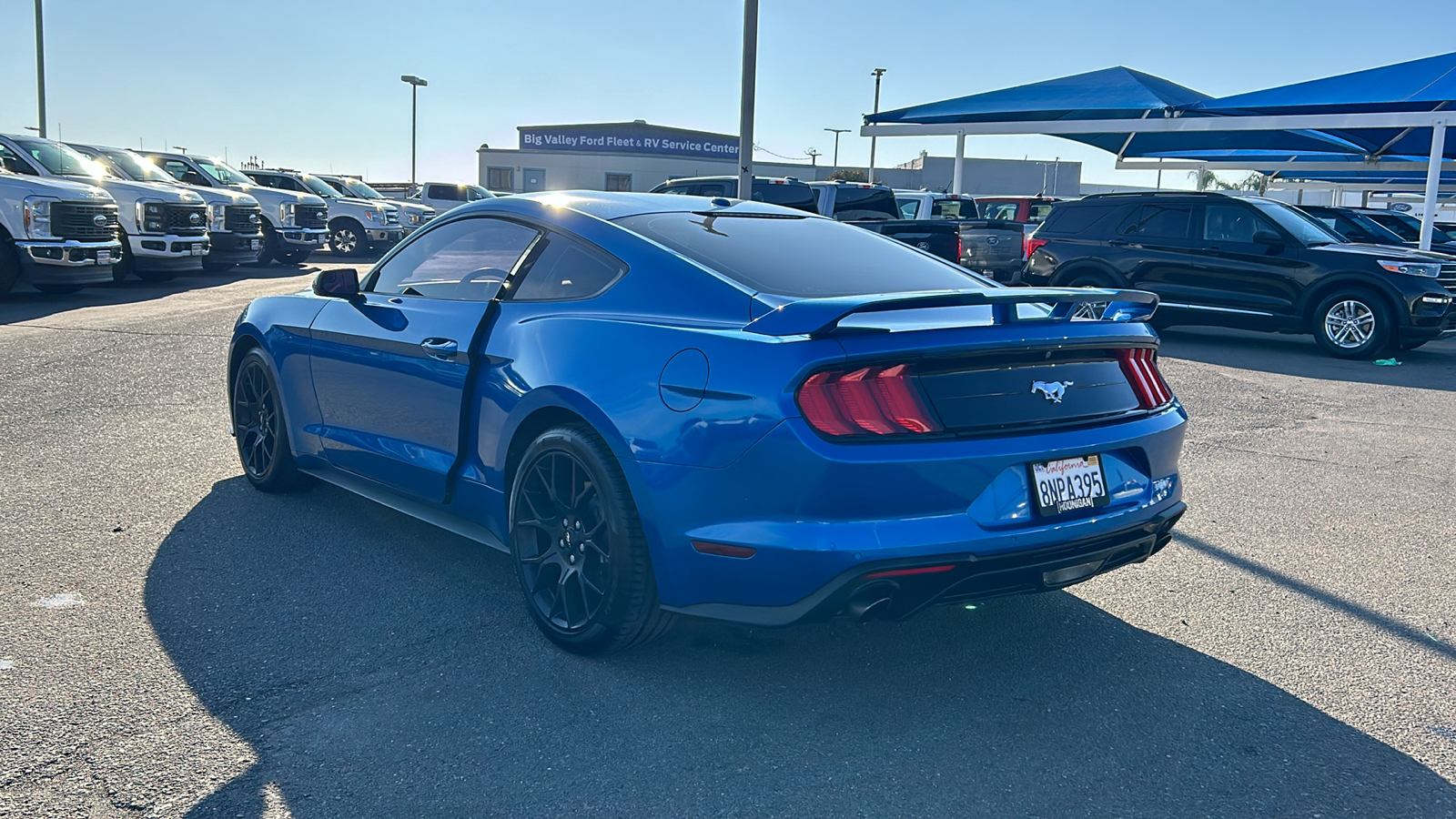 2019 Ford Mustang EcoBoost 5