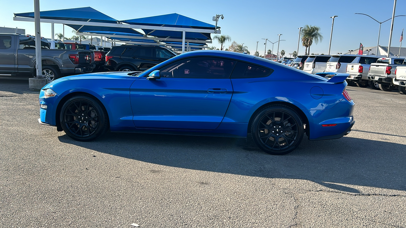 2019 Ford Mustang EcoBoost 6