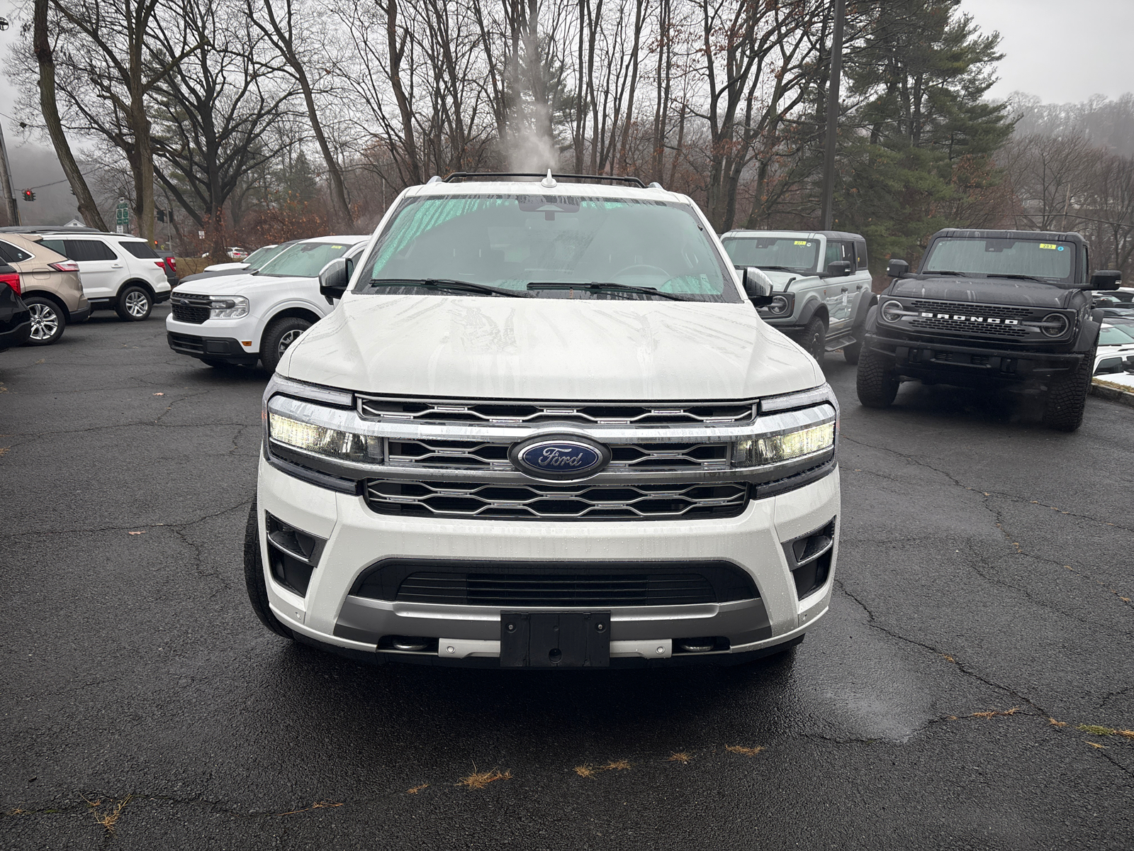 2022 Ford Expedition Max Platinum 2