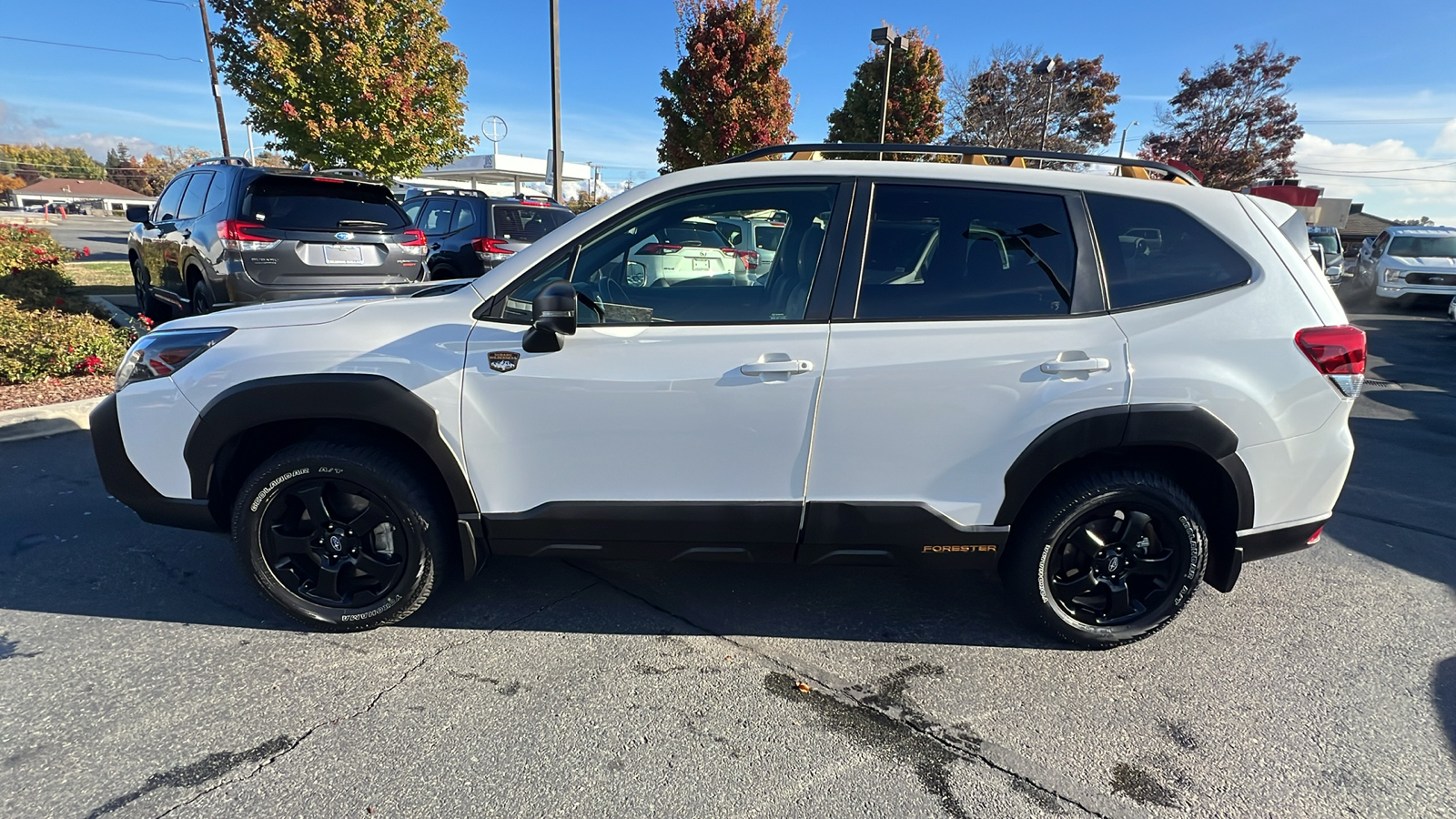 2024 Subaru Forester Wilderness 8