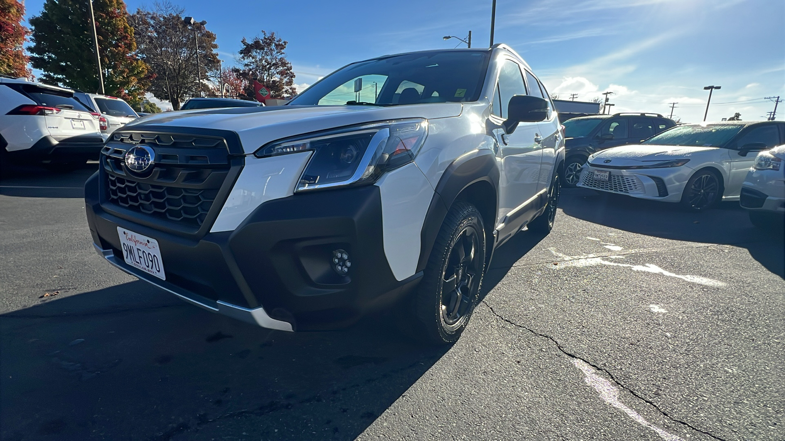 2024 Subaru Forester Wilderness 10