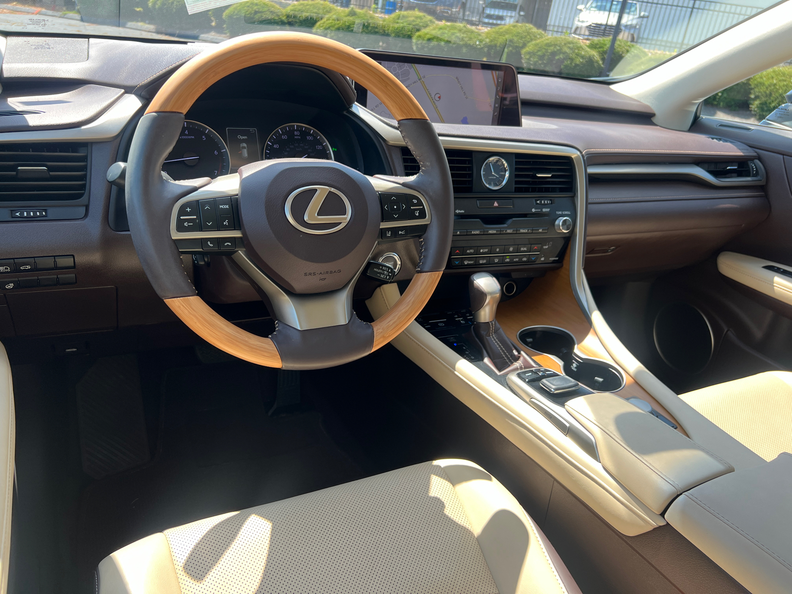 2018 Lexus RX F Sport 14