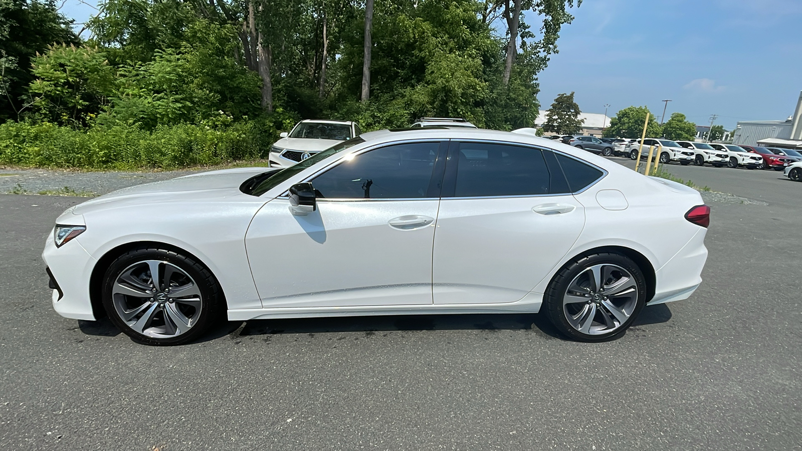 2021 Acura TLX w/Advance Package 5