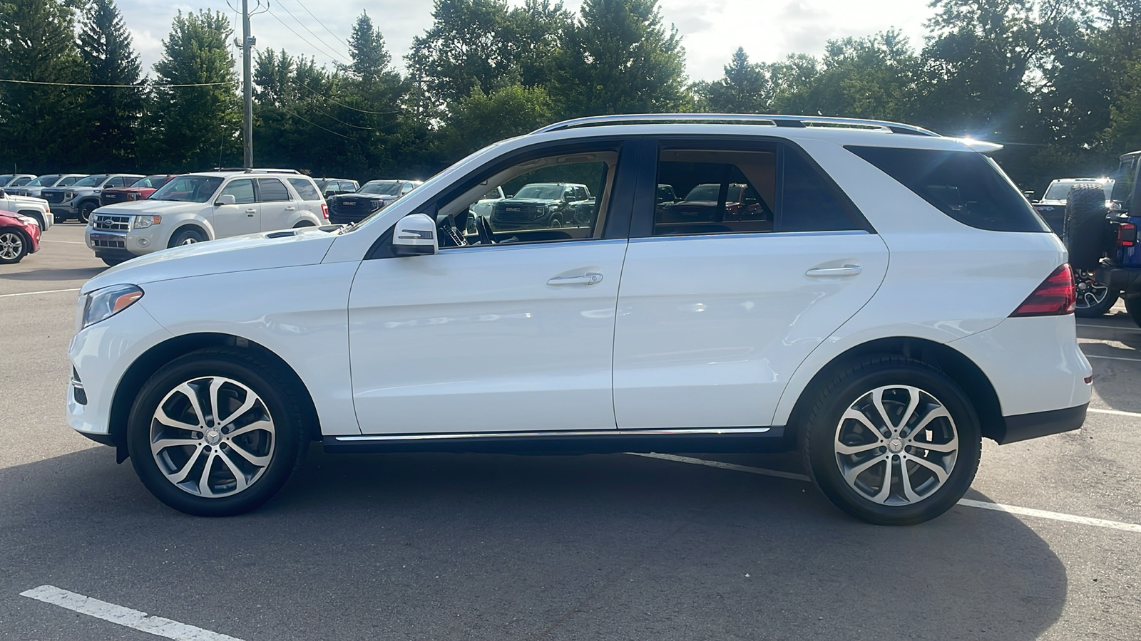 2017 Mercedes-Benz GLE GLE 350 6