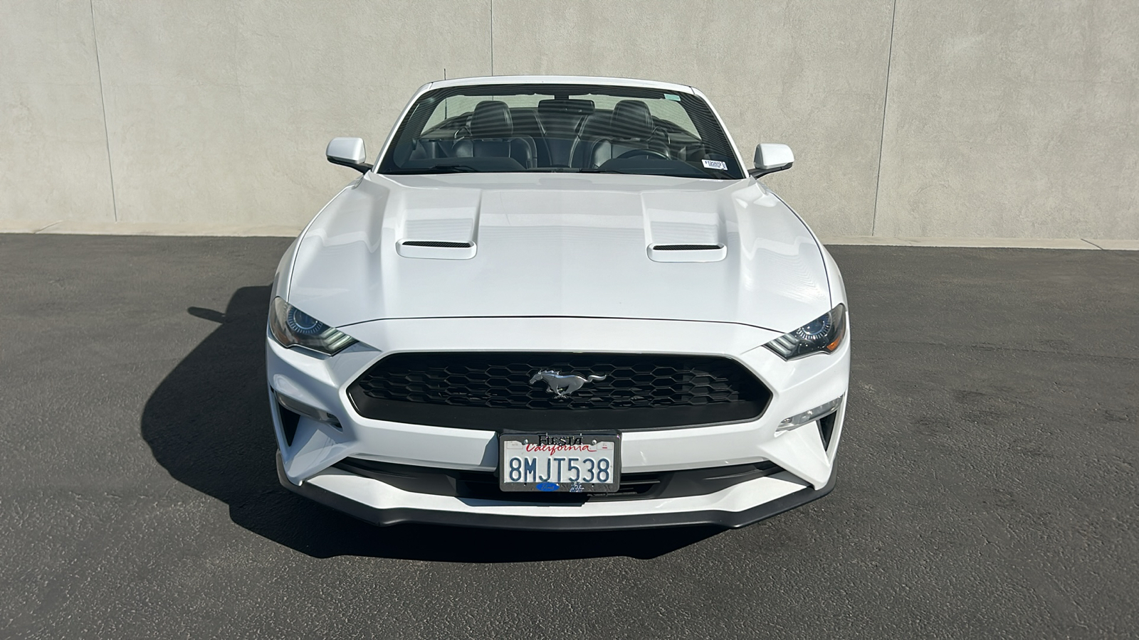 2019 Ford Mustang EcoBoost Premium 3