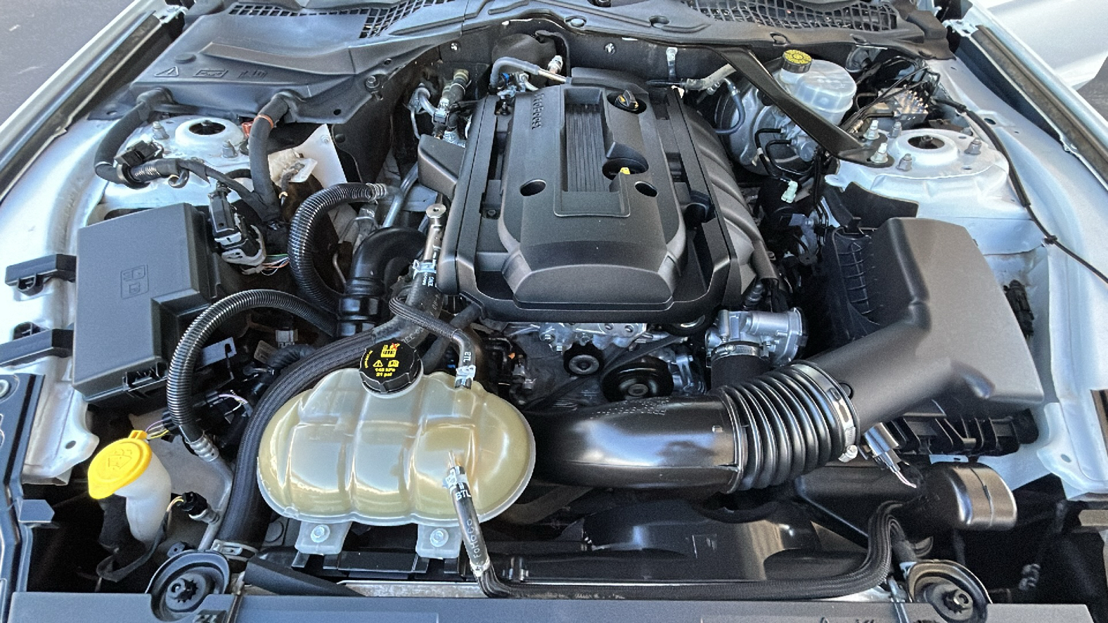 2019 Ford Mustang EcoBoost Premium 26