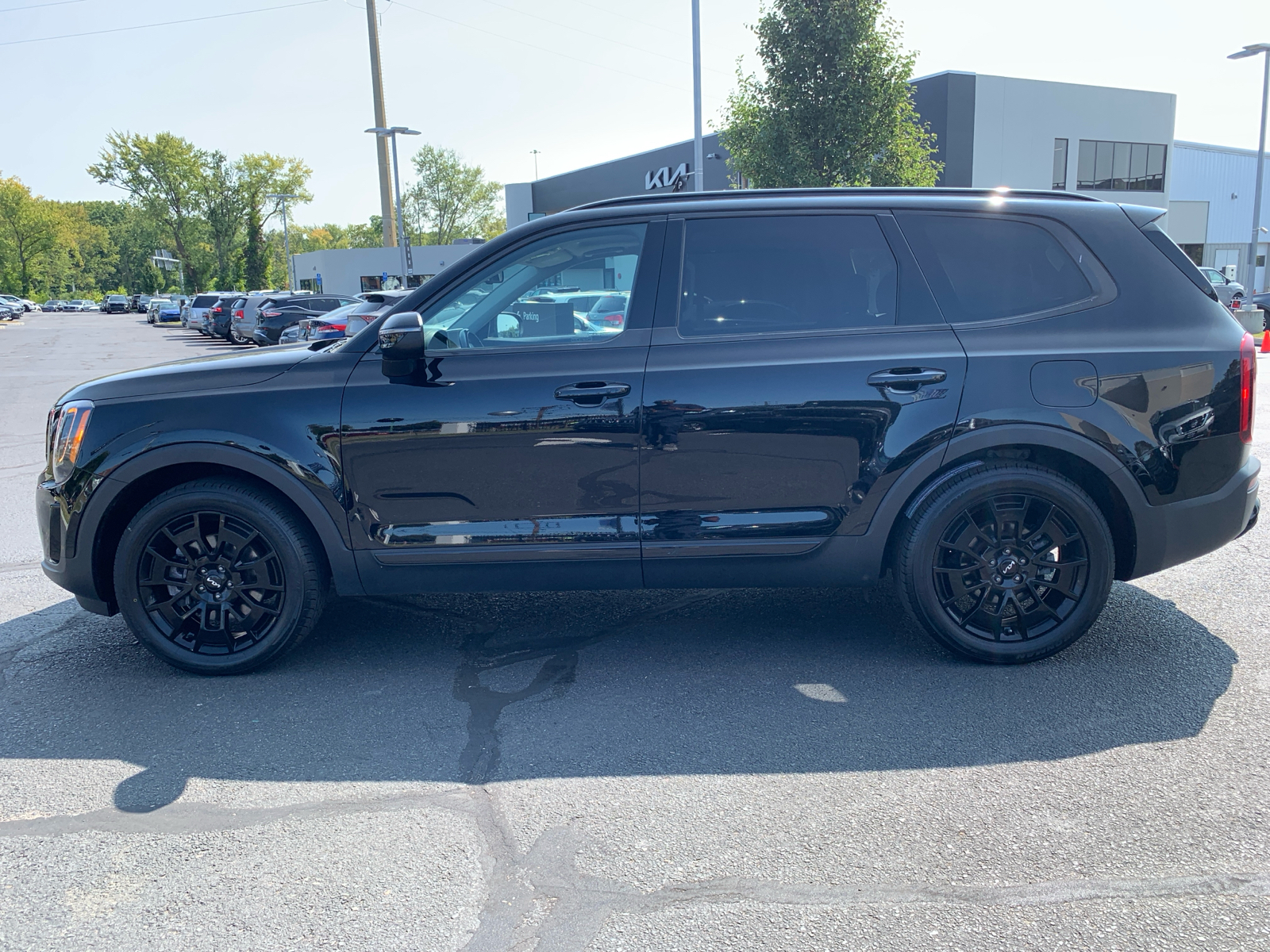 2022 Kia Telluride EX 6