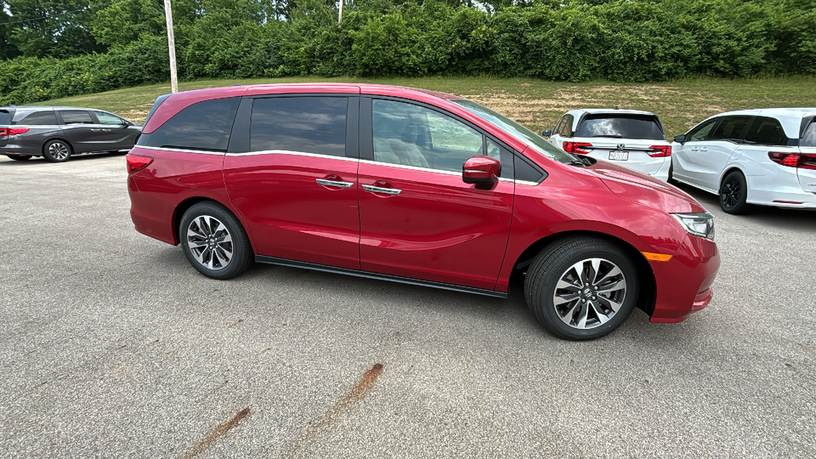 2024 Honda Odyssey EX-L 2