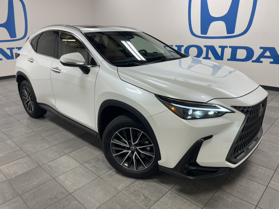 2024 Lexus NX NX 350 1