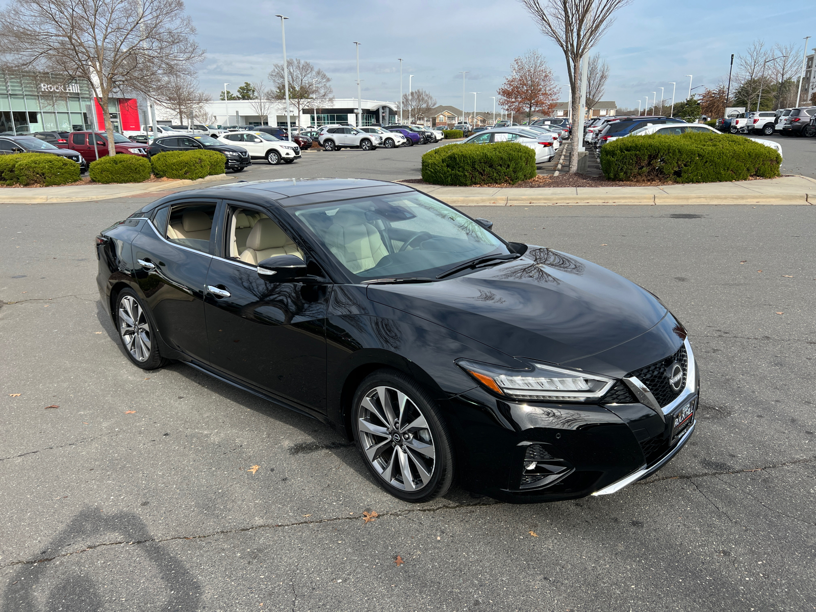 2023 Nissan Maxima Platinum 1