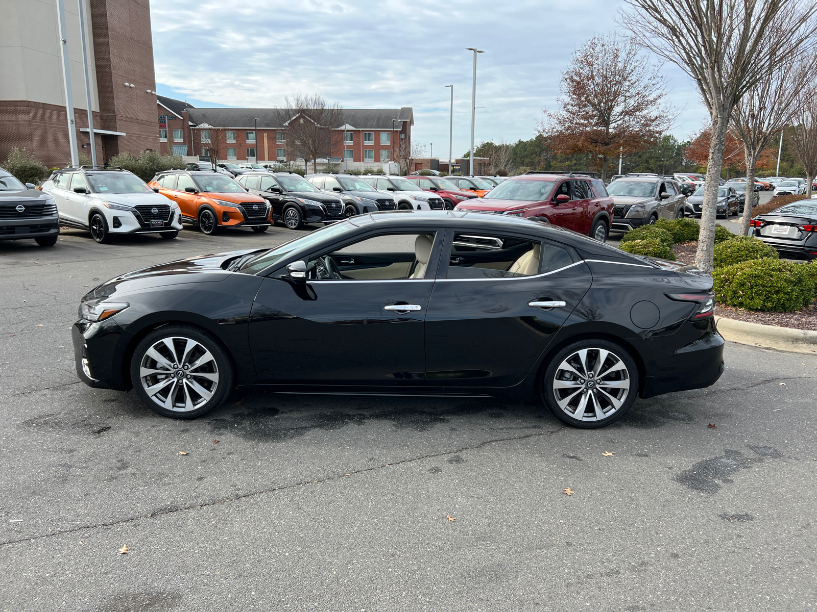 2023 Nissan Maxima Platinum 5