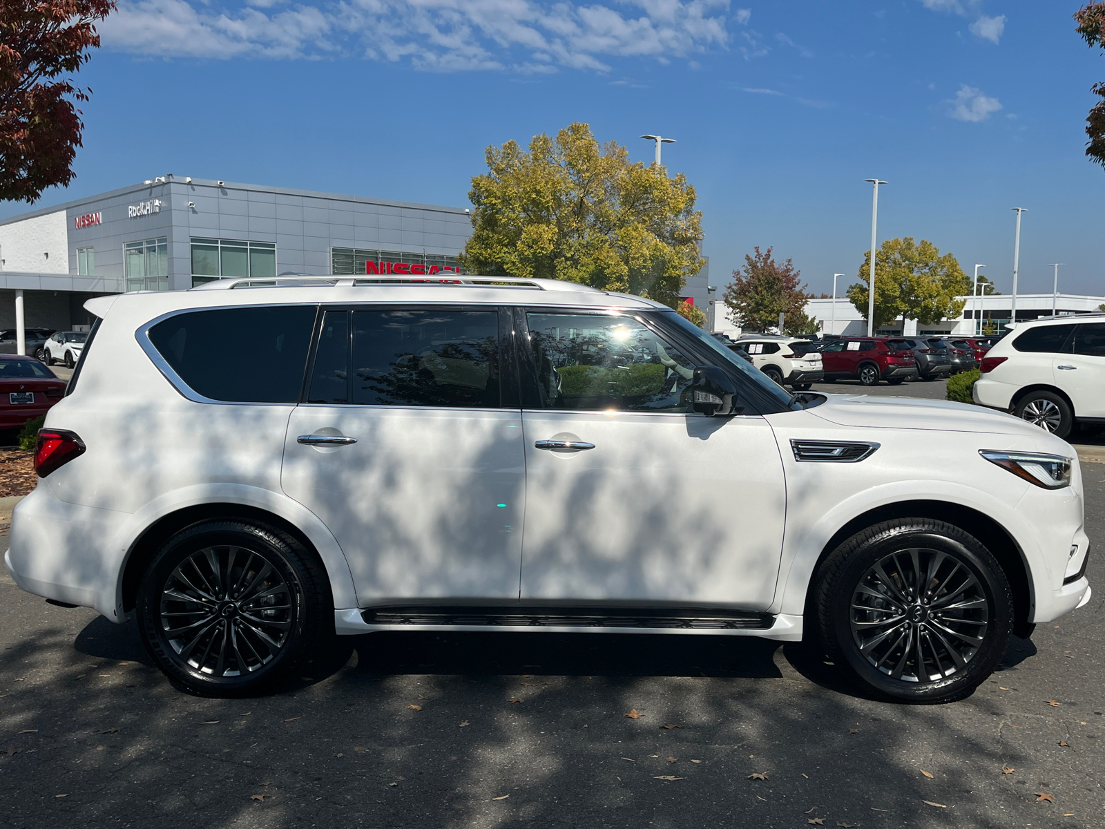 2023 INFINITI QX80 Premium Select 13