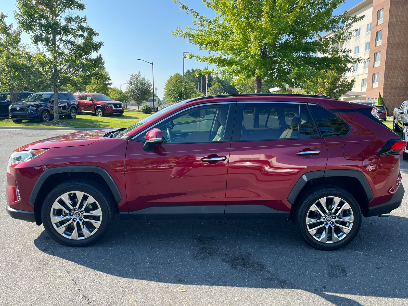 2019 Toyota RAV4 Limited 5