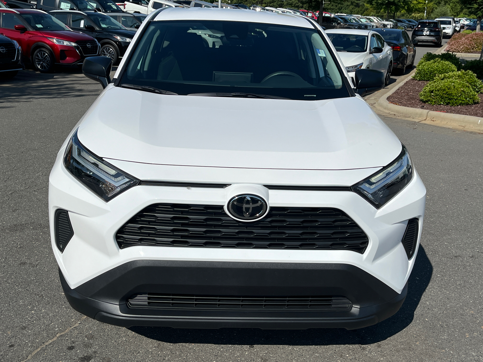 2023 Toyota RAV4 LE 2