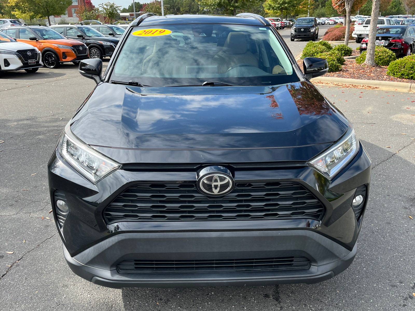 2019 Toyota RAV4 XLE 2