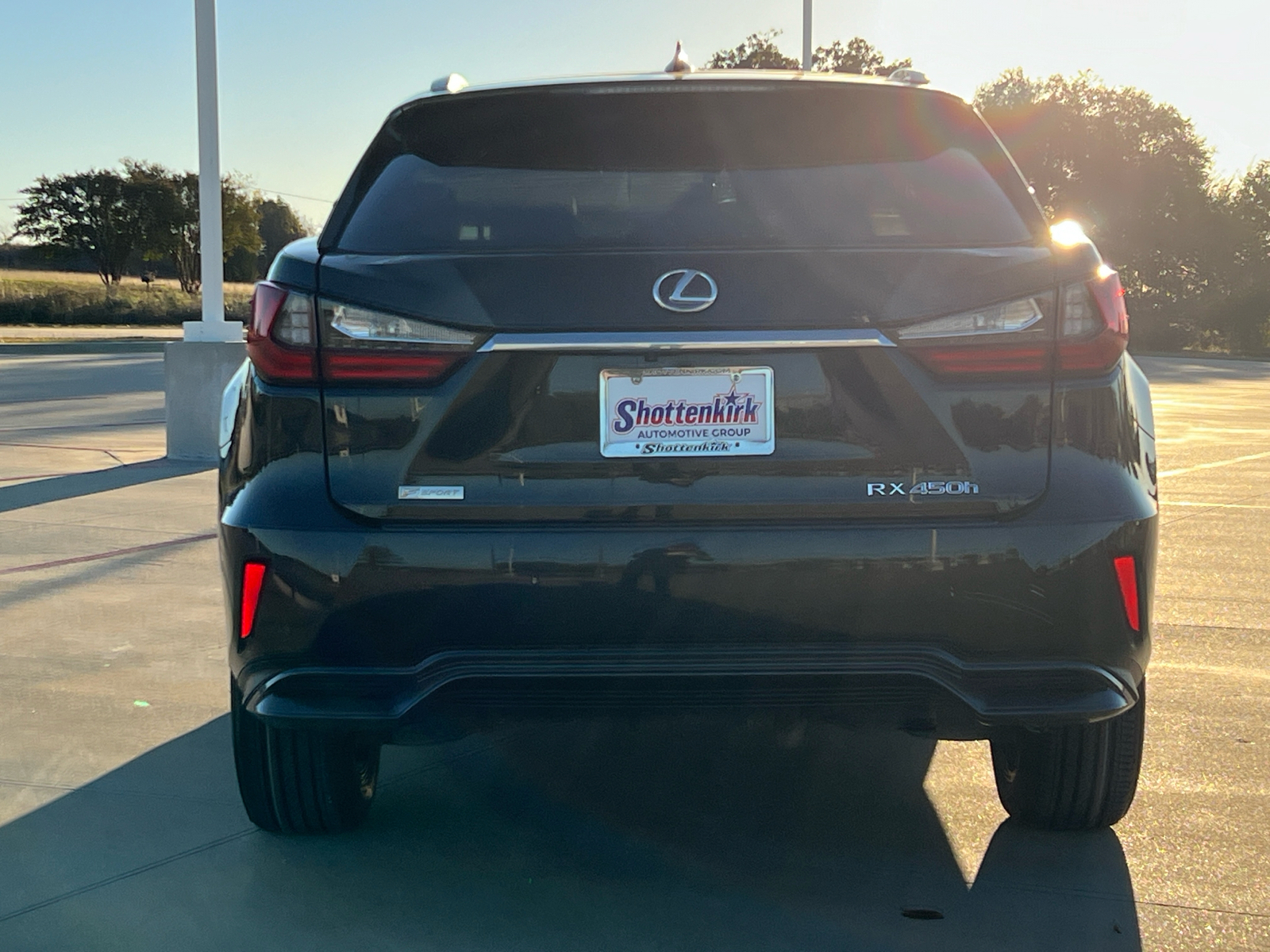 2018 Lexus RX 450h 5