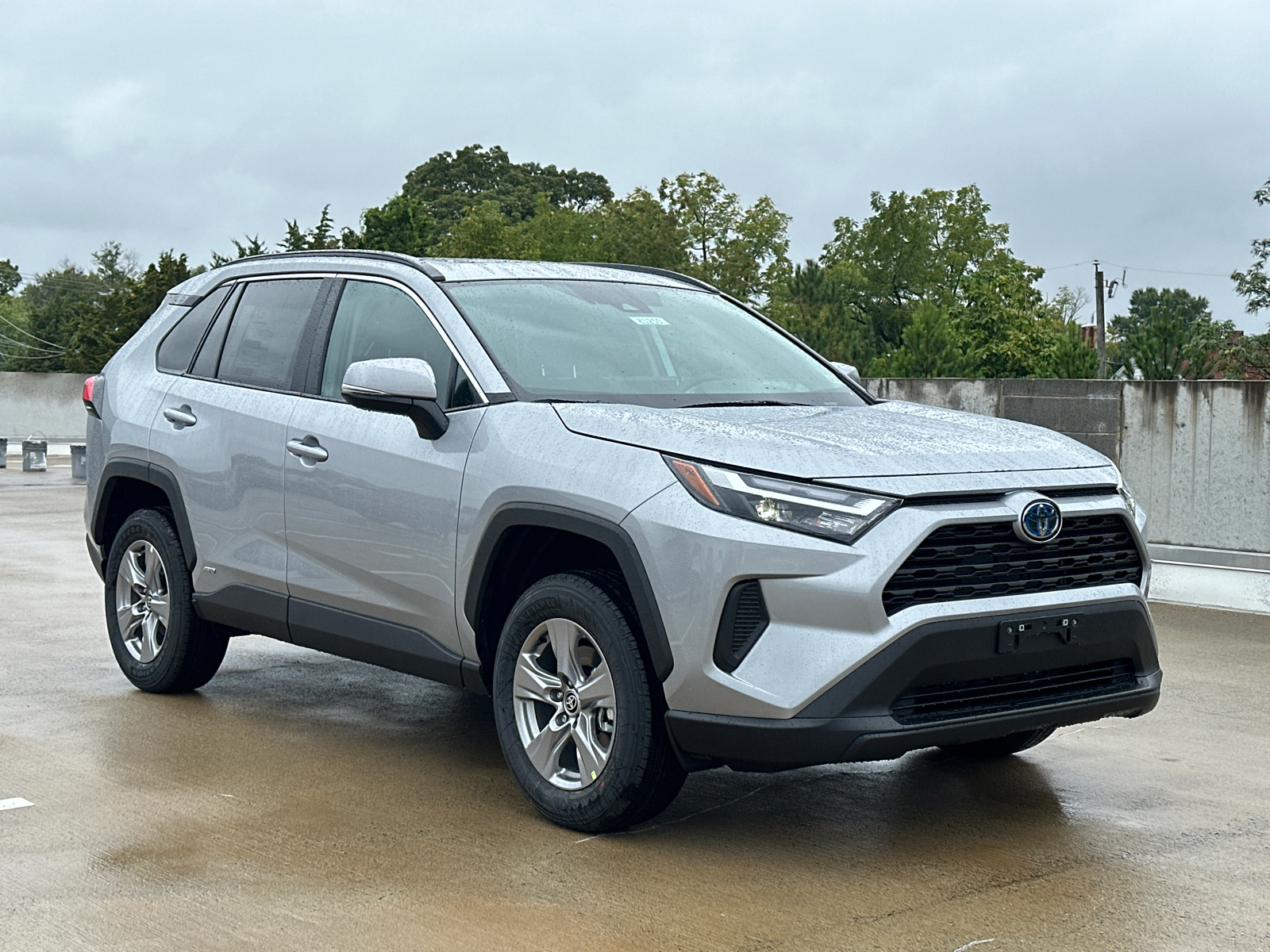 2024 Toyota RAV4 Hybrid XLE 29