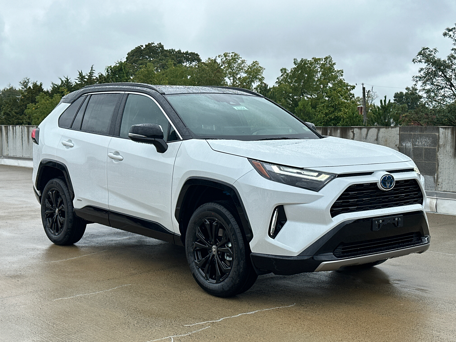 2024 Toyota RAV4 Hybrid XSE 29