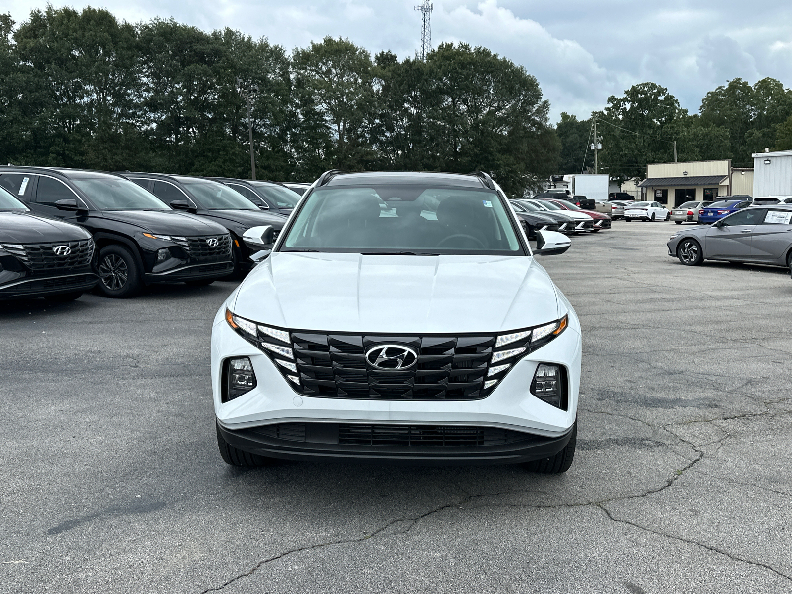 2024 Hyundai Tucson Hybrid SEL Convenience 2