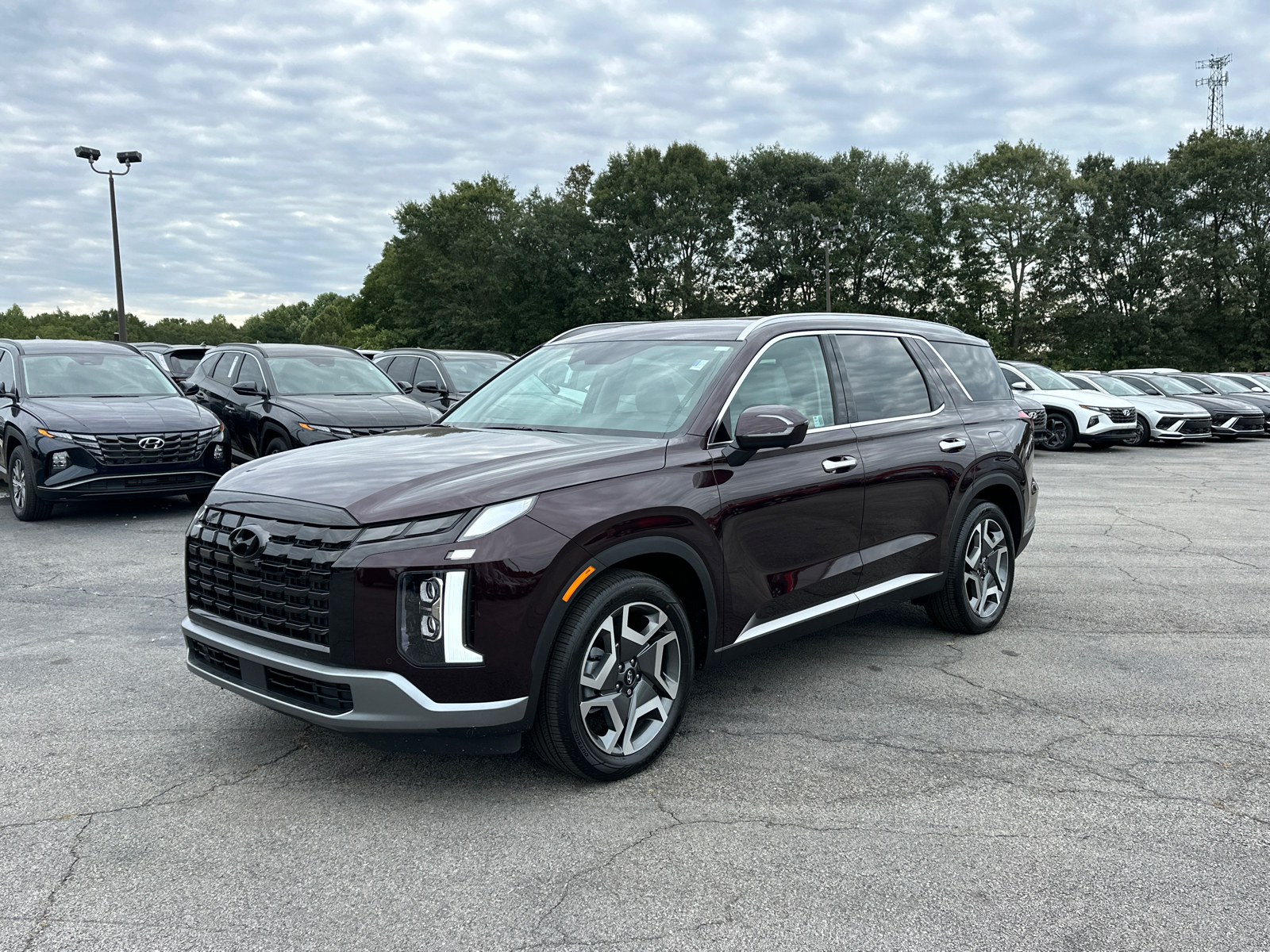 2025 Hyundai Palisade SEL Premium 3